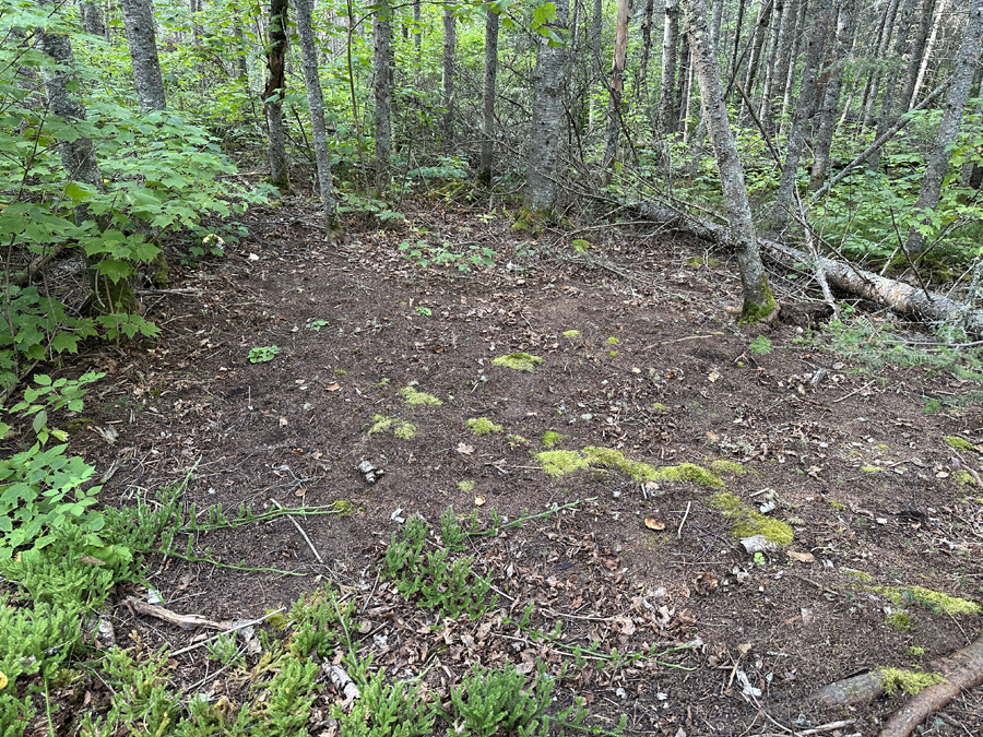 Perent Lake Campsite 5