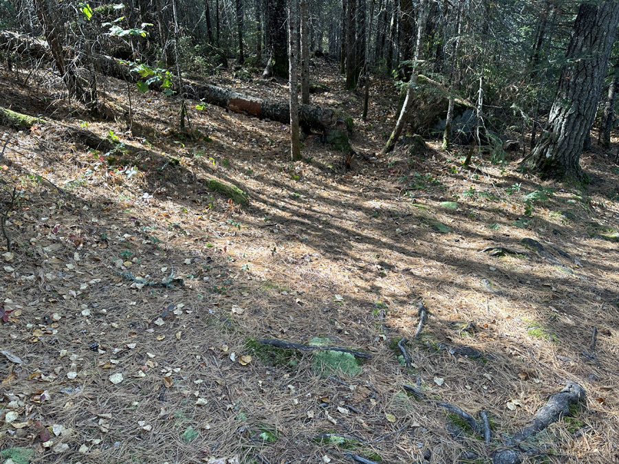 Peterson Lake Campsite 5