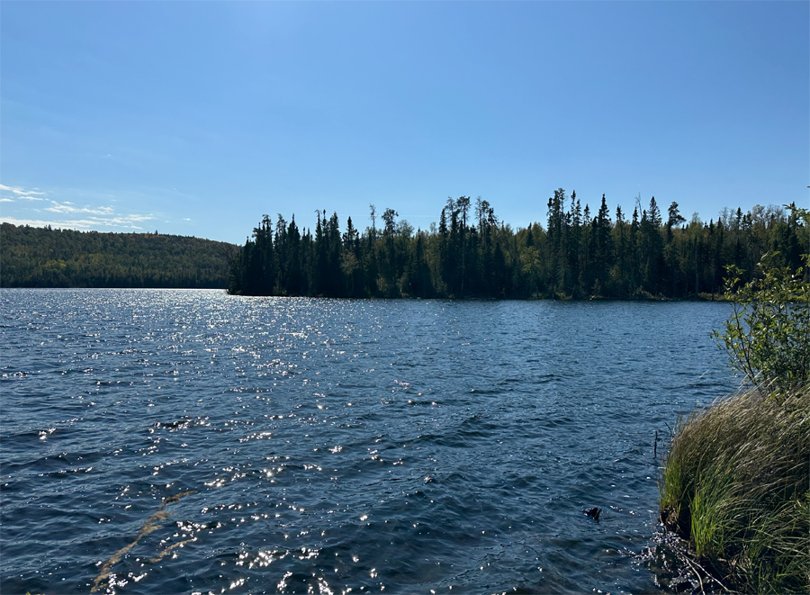 Pipe Lake Campsite 5