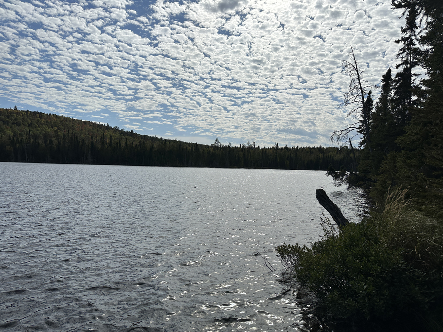 Pipe Lake Campsite 8