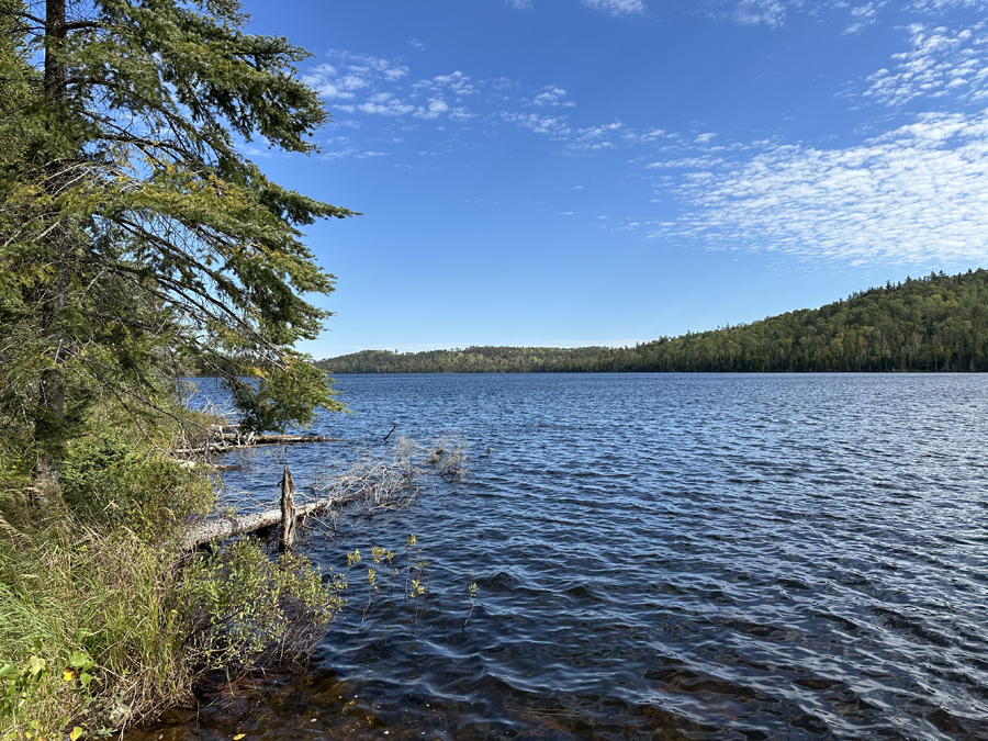 Pipe Lake Campsite 7