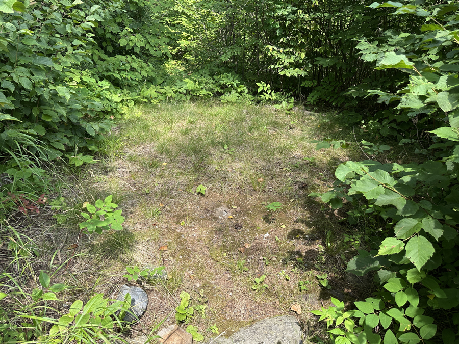 Smoke Lake Campsite 5