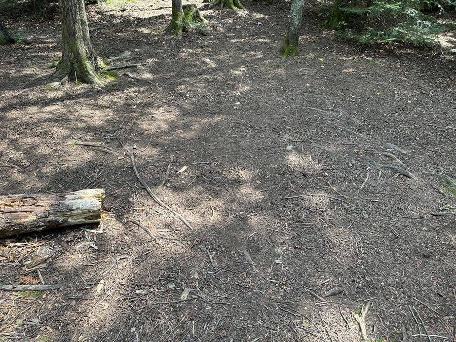 Smoke Lake Campsite 11