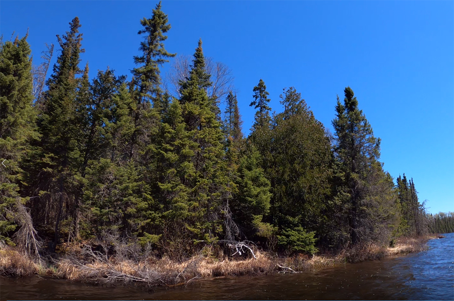 Smoke Lake Campsite 1