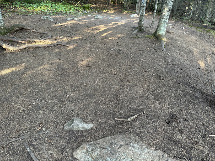 South Cone Lake Campsite 6