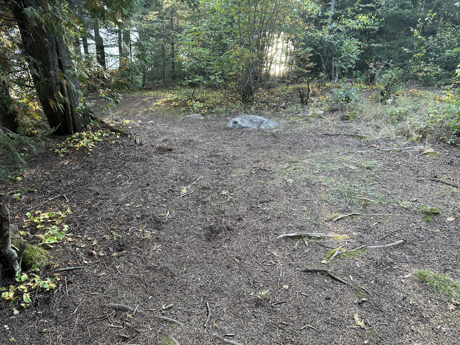 South Cone Lake Campsite 5