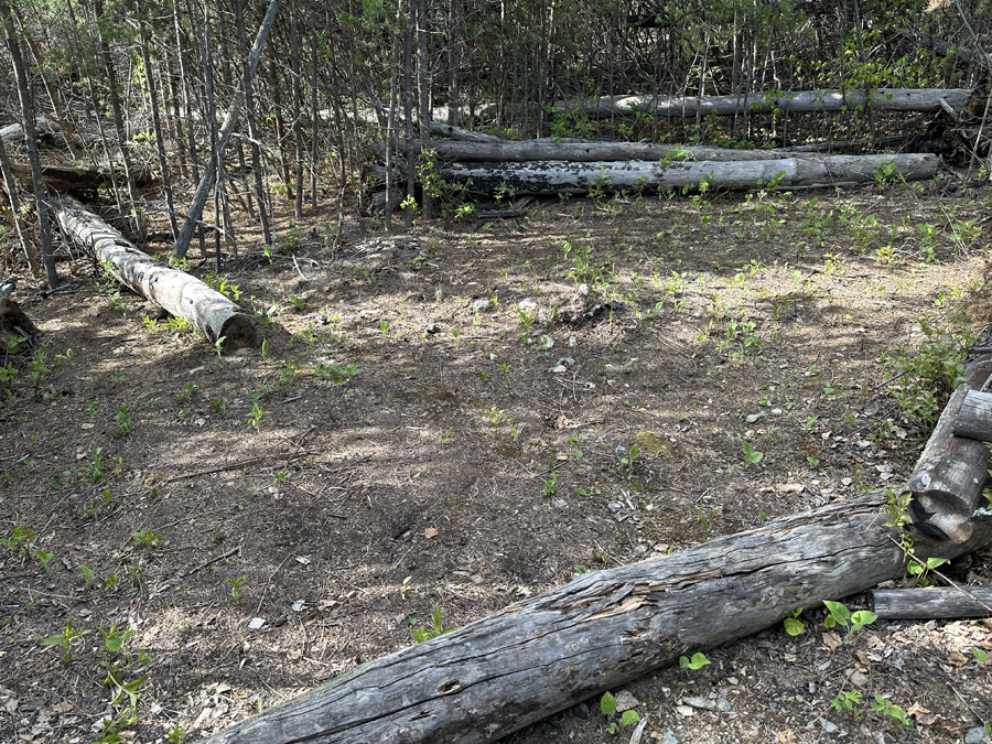 South Wilder Lake Campsite 5