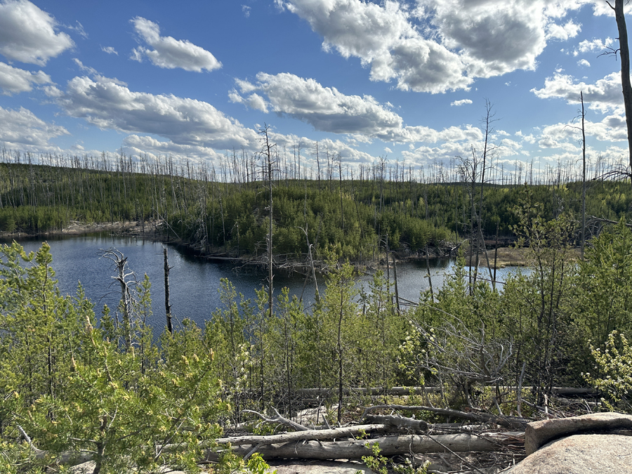 South Wilder Lake Campsite 7