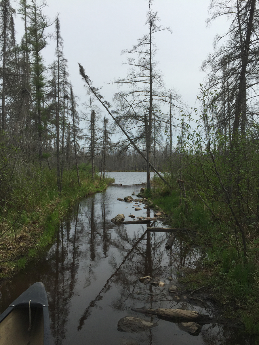 Lake Polly to Townline Lake Portage 1