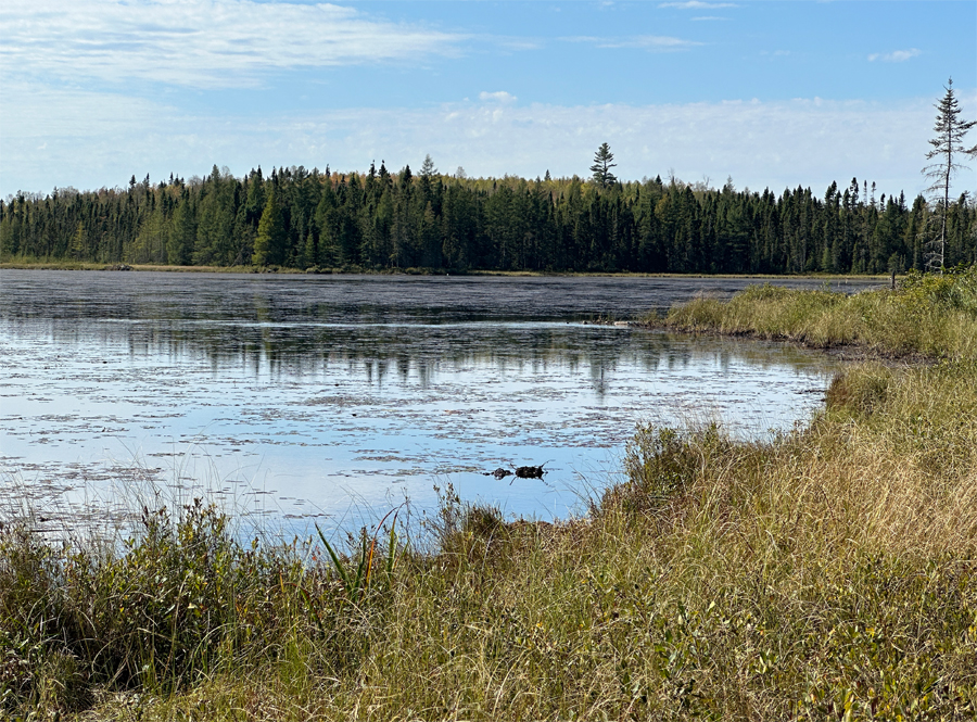 West Pipe Lake 3