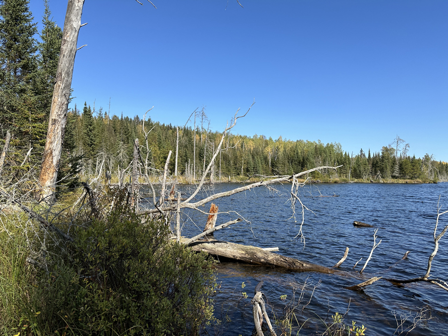 Pipe Lake to West Pipe Lake Portage 4