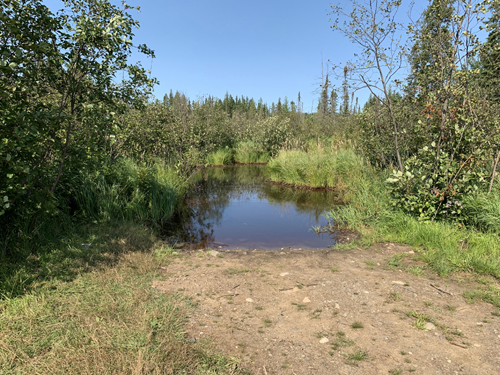 Larch Creek Entry Point 4