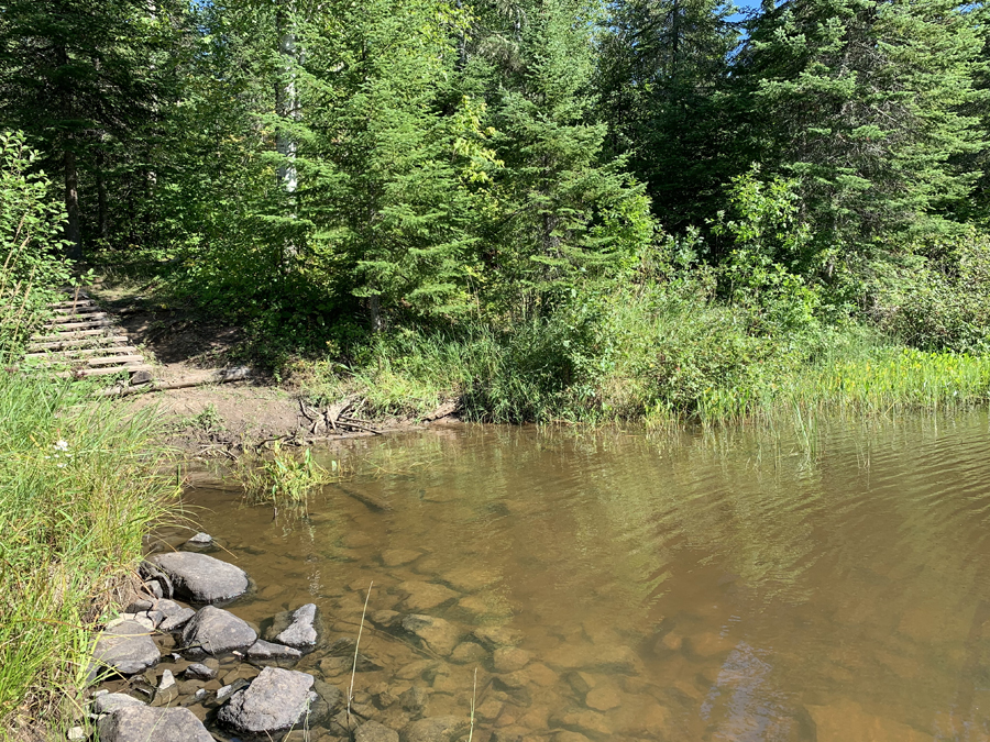 Pigeon River Campsite 8