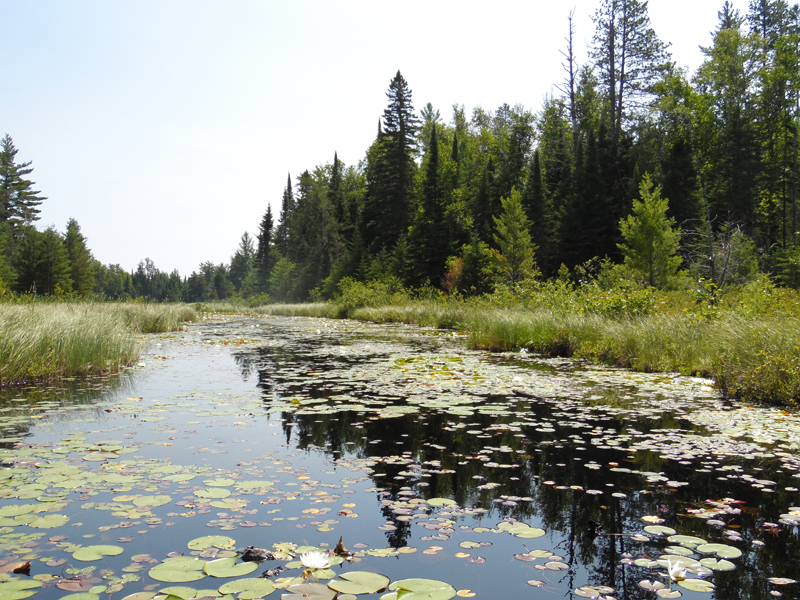 Ima Lake to Snatch Lake Portage