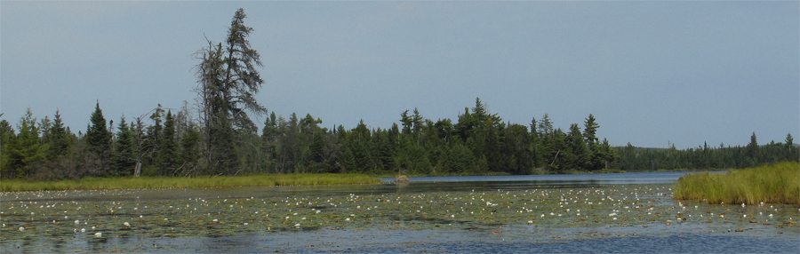 Sedative Lake in the BWCA Spider Lake PMA