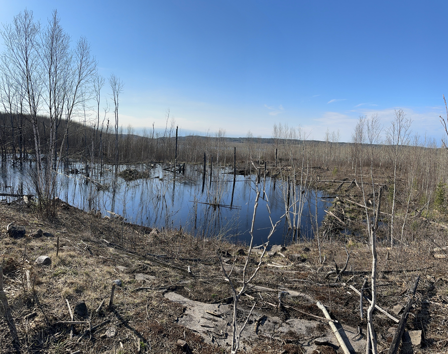 Border Route Trail 28C