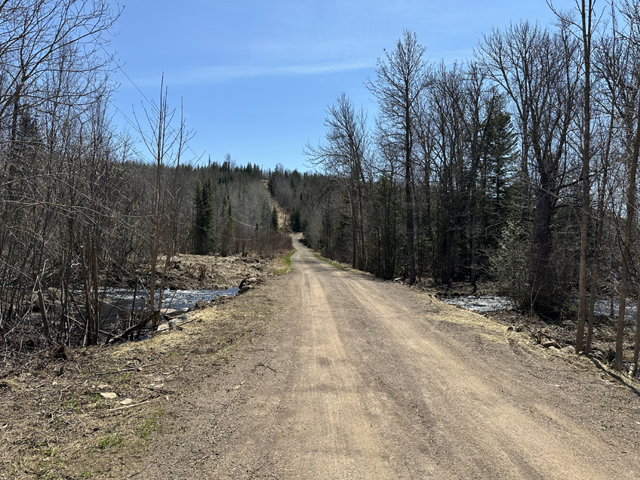 Crab Lake Trail 3