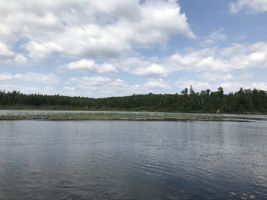 Wood Lake 7
